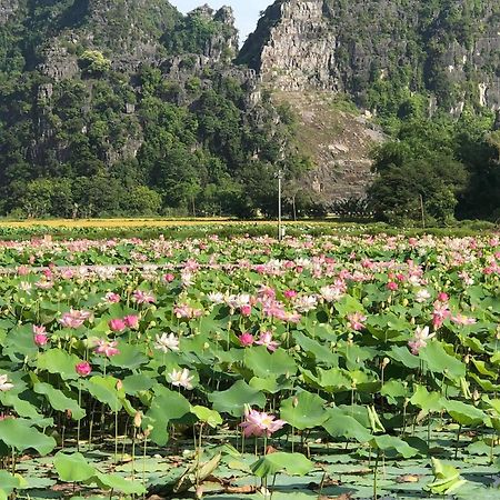 Tam Coc - Thanh Homestay Ninh Binh Exterior photo