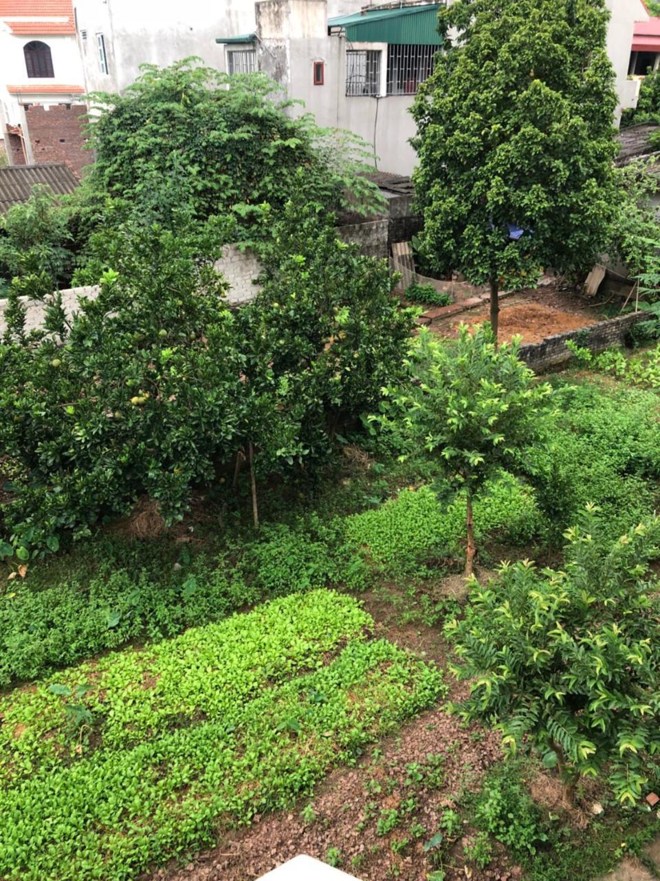 Tam Coc - Thanh Homestay Ninh Binh Exterior photo